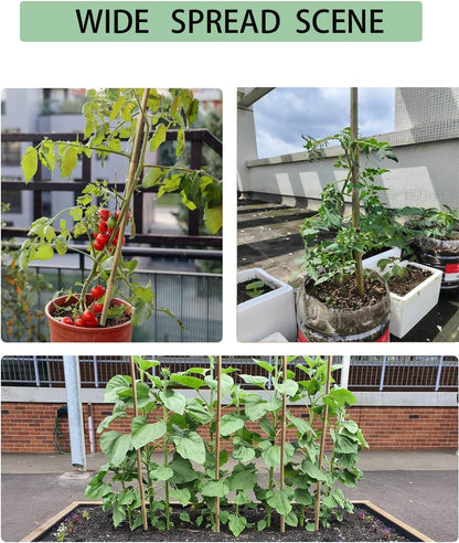 Moromyse 60 Pack Bamboo Stakes for Plant 5 Feet (58inch) with Twist Ties Bamboo Sticks Plant Support Garden Stakes Poles for Tomatoes Cucumber Grapes Pole Beans Trees Potted Dahlia Flowers