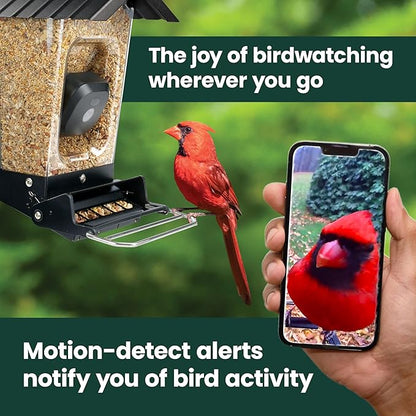 Perky-Pet Solar Powered Smart Bird Feeder with Camera - Squirrel-Resistant, 3.2L Capacity, Motion Activated 1080p HD WiFi Live Stream Camera, SPCAM, SPCAMSLR - Camera Feeder Gift Idea, Blue