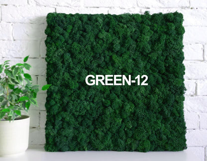 Prefleur Preserved Reindeer Craft Moss Natural DIY Kit Gardenning Art Wall Olive Green Florist Easter Table Decor Wedding(0.85lb)(Green-12)