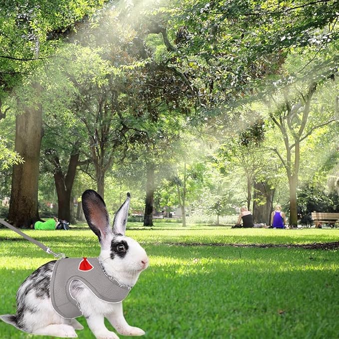 2 Pack Adjustable Bunny Rabbit Harness and Leash Set Breathable Mesh Vest Harness for Rabbits Kitten Ferret Puppy Small Pets Walking Supplies-Grey&Pink,M
