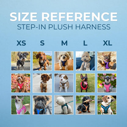 Voyager Step-in Plush Dog Harness – Soft Plush, Step in Vest Harness and Reflective Dog 5 ft Leash Combo with Neoprene Handle for Small and Medium Dogs by Best Pet Supplies -Set (Fuchsia Corduroy), S