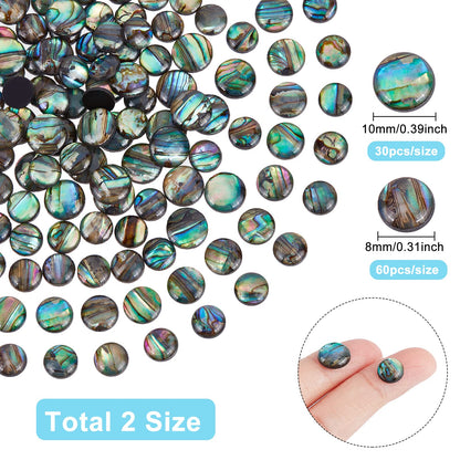 BENECREAT 90PCS Natural Abalone Shell Coin 8mm 10mm Flat Round Paua Shell Cabochons Beads with Storage Containers for Photo Frames, Clay Cups Decoration