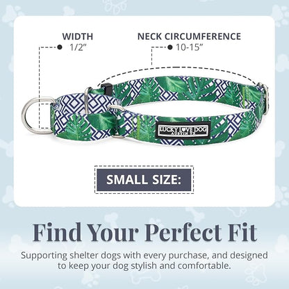Lucky Love Dog Martingale Collar, Premium No Slip Martingale Collar for Small Boy Dogs, Great for Whippets, Greyhounds, and More (Small, Blue Laguna)