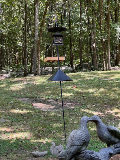 Rocky Mountain Goods Wood Bird Feeder Tray for Outside - 12" Hanging Platform Feeder for Cardinals, Jays - Universal Seed Tray with Drainage - Easy to Fill & Clean - Durable Pine + Rust-Free Hardware