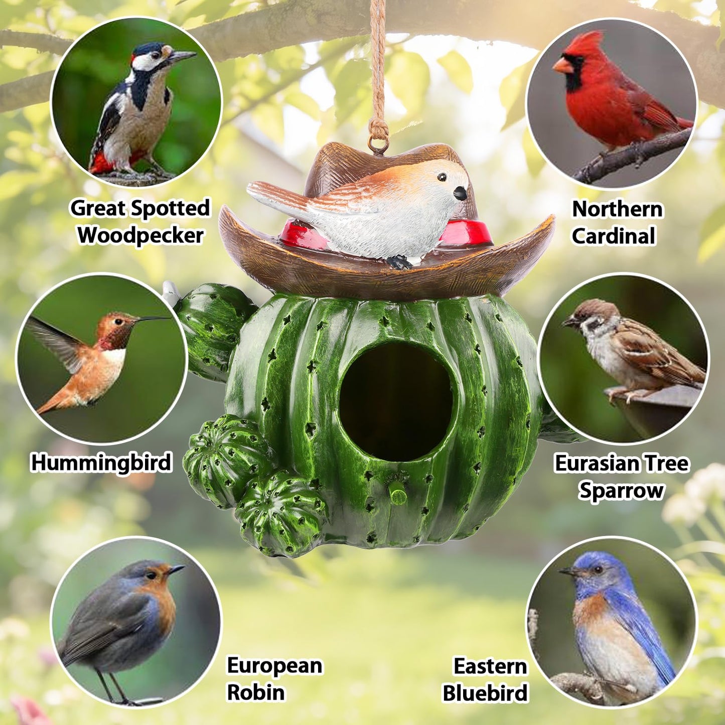 Bird Houses for Outside – Hand-Painted Decorative Bird House, Waterproof Resin Hanging Birdhouse for Patio, Yard, Porch & Garden Decor
