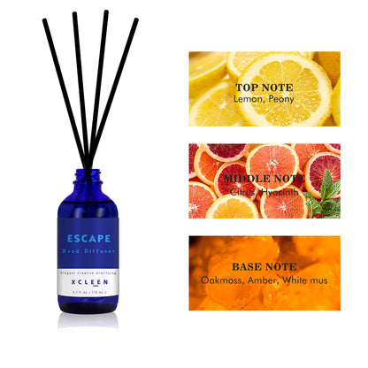 Reed Diffusers Set, 3.7 Oz Scent Diffuser, 6 Reed Diffuser Sticks, Home Fragrance Hyacinth, Peony & Citrus, Aromatherapy Oil Diffuser Reeds, More Masculine Scent, Bathroom & Office Decor 110ml