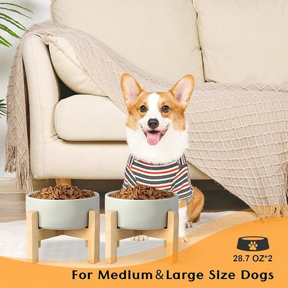 SPUNKYJUNKY Ceramic Elevated Dog Bowls 2 Pack - 6.1inch Raised Dog Bowls with Non-Slip Wooden Stand for Medium Dogs Dishwasher Safe(Grey,28.7OZ*2)
