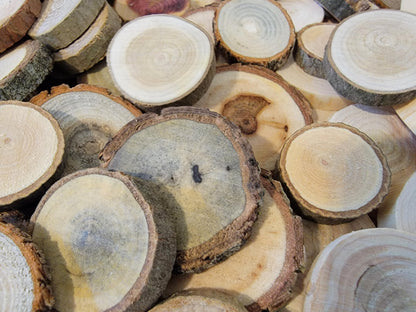 Unfinished Wood Slice Variety Pack, Extra Small Assorted Wood Slices 0.75 to 1.25 Inch Diameter, Natural Organic Vase Filler, Wedding or Home Decor, DIY Craft Projects
