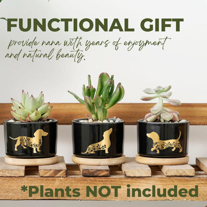 InnoBeta Dachshund Gifts Succulent Plant Pots 3pcs, Gifts for Dachshund Lovers, Planter Pot with Bamboo Tray, Plants NOT Included, Cute Ceramic Pots for Birthday, Christmas