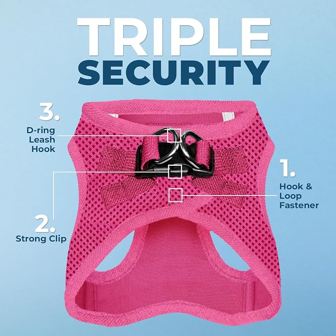 Best Pet Supplies Voyager Step-in Air All Weather Mesh Harness and Reflective Dog 5ft Leash Combo with Neoprene Handle, for Small, Medium and Large Breed Puppies - Fuchsia, X-Small
