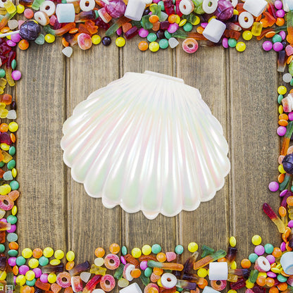Gadpiparty 10pcs Sea Shell Party Favors, Shell Jewelry Box, for Birthday Decorations and Under the Sea Theme Party Ocean Beach Goodie Treat Supplies