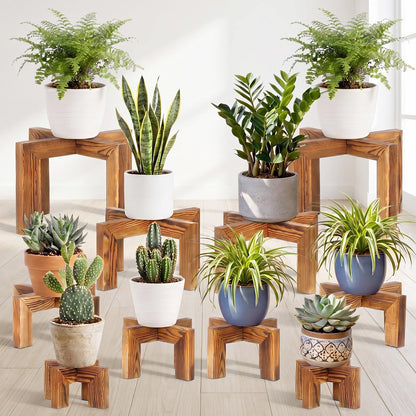 Marsui 10 Pack Wooden Plant Risers for Indoor 5 Sizes Plant Cross Leg Stand Set Carbonized Brown Solid Flower Pot Holders Display Stands for Living Room Balcony Farmhouse Decor (Pots Not Included)