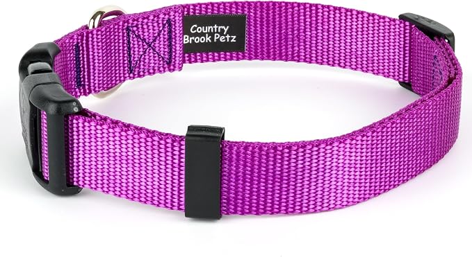 Country Brook Petz - Everyday Nylon Dog Collar and Leash - 10+ Cool Colors (3/4 Inch, Medium, Bright Purple)