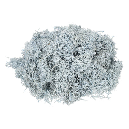 MECCANIXITY 4.6oz Preserved Reindeer Moss, Light Blue Decorative Artificial Fake Moss for Potted Plants Indoor Crafts Lichen Centerpieces Decor