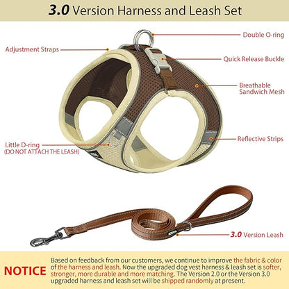 AIITLE No Pull Dog Harness and Leash Set, Step in Adjustable Dog Harness with Padded Vest for All Weather, Dog Leash with Soft Padded Handle, Easy to Put on Small and Medium Dogs Beige S
