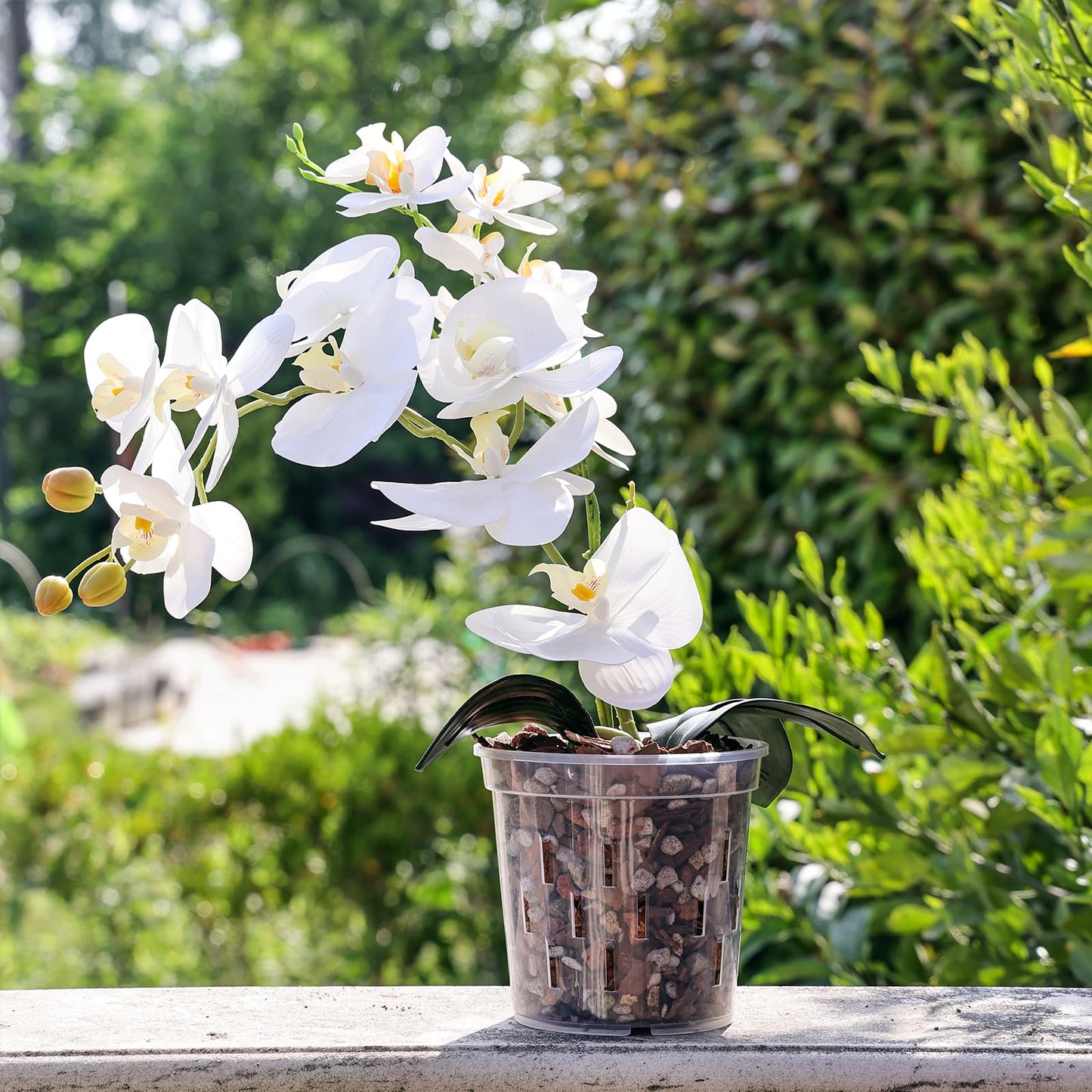 TRUEDAYS Orchid Pot – 4 Pack 5 Inch Clear Orchid Pots with Drainage Holes for Repotting – Ideal for Healthy Root Growth – Sturdy Plastic Plant Pot for Indoor & Outdoor Plants