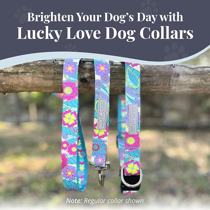 Lucky Love Dog Martingale Collar, Premium No Slip Martingale Collar for Large Dogs, Great for Whippets, Greyhounds, and More (Caroline, Large)