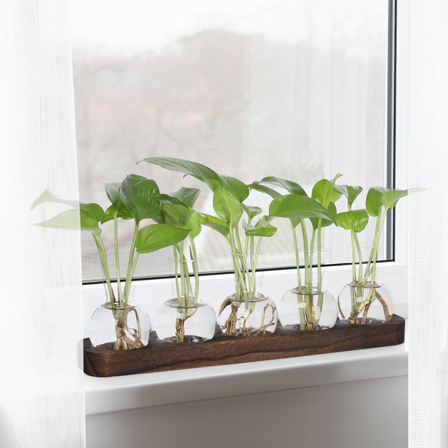 YIBOT Propagation Vases for Plants Terrarium with Wooden Tray,5 Glass Vases