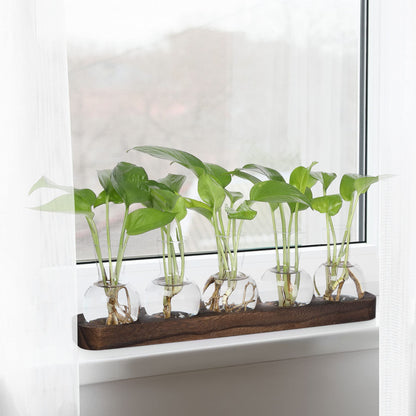 YIBOT Propagation Vases for Plants Terrarium with Wooden Tray,5 Glass Vases