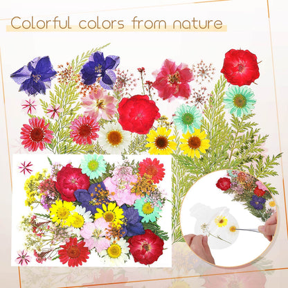 TaoBary 91 Pcs DIY Handmade Transparent Dried Flower Bookmark Set Include Butterflies Clear Bookmarks Dried Flowers Colorful Tassels and Tweezer for Book Bottle Supplies(Classic Color)
