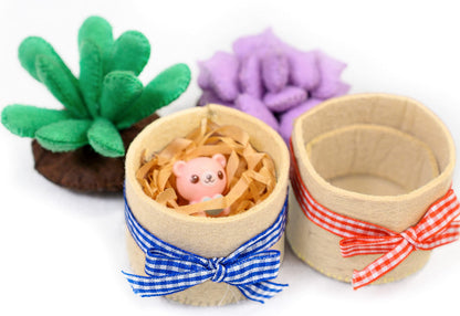 Felt Succulents Craft Kit. Make 6 Potted Colorful Plushies & A Display Rack. Mini Garden DIY Sewing Project, Activity Set, Arts & Crafts Supplies - Great Gift for Teens and Adults