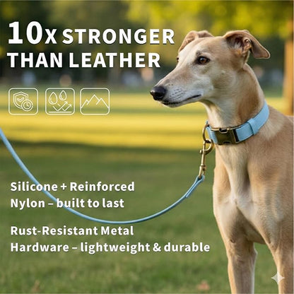 Silicone Dog Collar and Leash Set, Waterproof & Odor-Proof Puppy Collar for Small Dogs, Soft Flexible Leather-Look Dog Collars, Durable Thick Adjustable Pet Collar (Blue, Large (16-24.5" Neck))