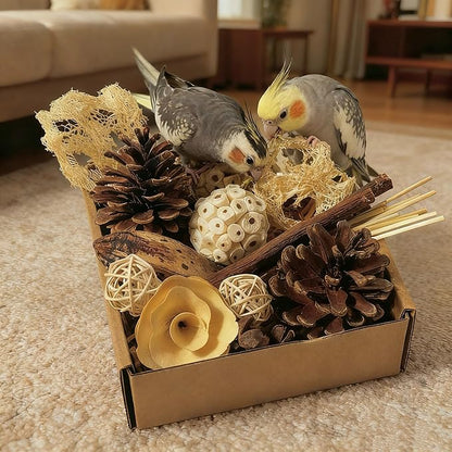 Bird Toys - Sola Ball Foraging Box, 10 Natural Ingredients | Chewing and Shredding Parrot Toys | Ideal for Parakeets/Cockatiels/Conures/Lovebirds and Small to Medium Birds