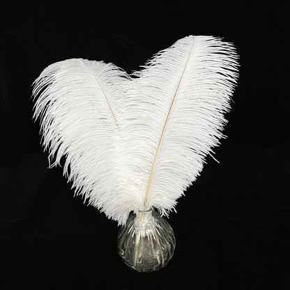 Happy Feather 16-18 inch White Ostrich Feathers Craft for Wedding Party centerpieces Home Decoration DIY Craft Pack of 10