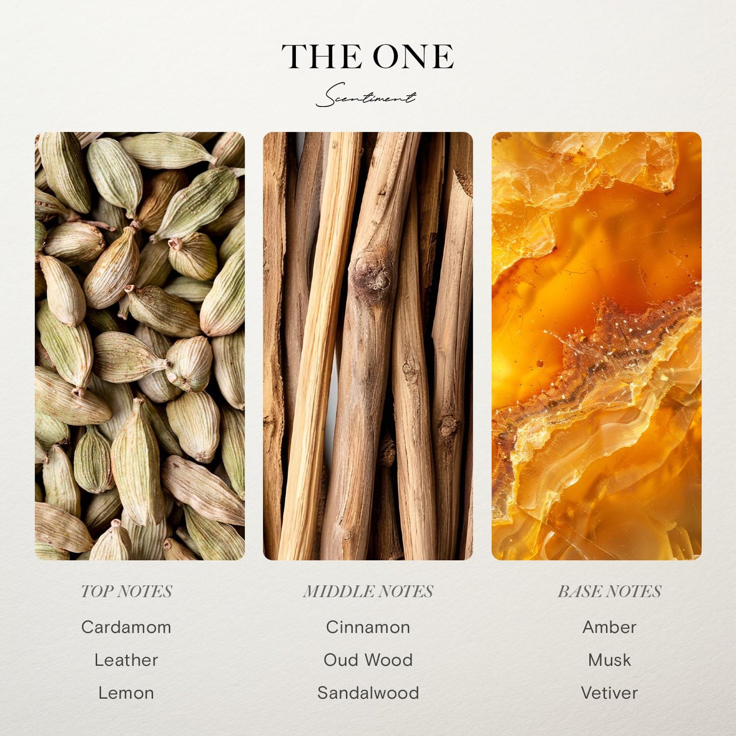 Scentiment Hotel Diffuser Oil Discovery Kit | Inspired by Elite Five Star & Luxury Hotel Scents | Aromatherapy Oils with Notes of Cardamom, Tuscan Leather, and Sandalwood (20ml, Top 5 Scents)