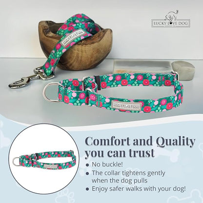 Lucky Love Dog Martingale Dog Collar - Adjustable, No-Slip, Durable, & Soft Webbing Collar for Male and Female Dogs Ideal for Training & Walking - Penny, Medium