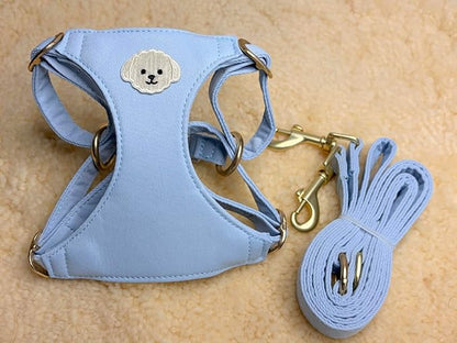 AetruffyPet 100% Cotton Dog Harness and Leash Set – Soft Breathable Vest for Small Dogs, Adjustable No-Choke Design, Lightweight Walking Set (XS/S/M) (Blue, XS)