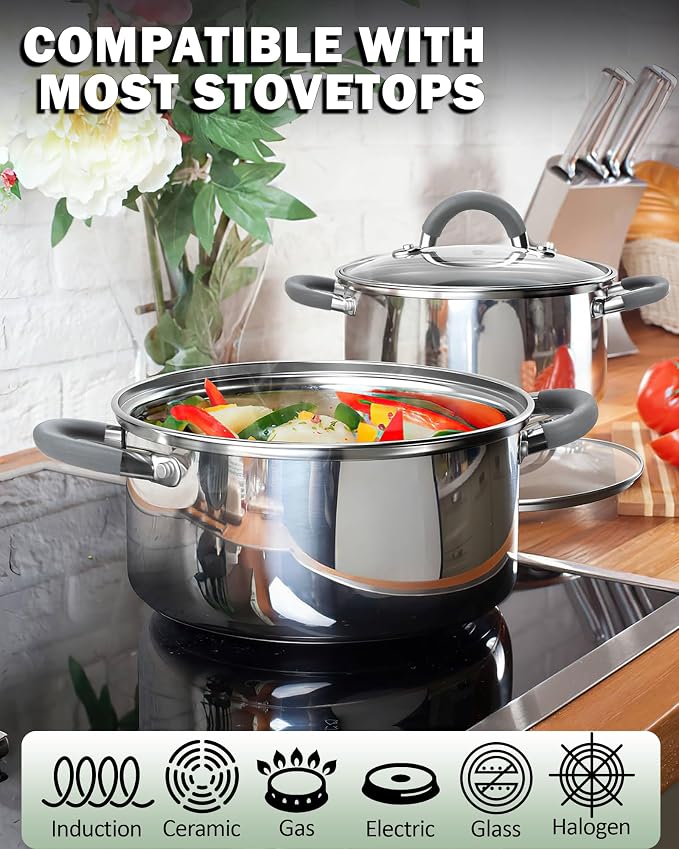 Cook N Home Basics 5.5 Quart Stainless Steel Stock Pot with Lid, Cooking Pot for Pasta, Soup, Stay-Cool Silicone Handle, Stockpot with Even Heating, Oven Safe, Cookware for Canning, Boiling, Simmer