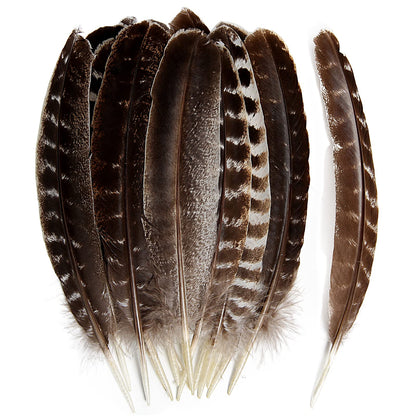 THARAHT 24pcs Natural Wild Turkey Wing Feathers Quill Bulk 8-10inch 20-25cm for DIY Crafts Project Collection Wedding Decoration Wild Turkey Tails Feather