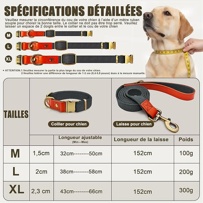 Dog Collar and Leash Set with Metal Quick Release Buckle, Adjustable, Breathable Nylon, Durable, Soft and Comfortable, No Pull for Walking and Training, Blue-Black, XL (16.9"-26")
