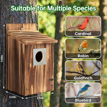 2 Pack Bird Houses for Outside with Metal Predator Guard for Bluebird Wren Swallow Finch, Carbonized Wooden Nesting Boxes for Outdoor, Sturdy Bird House,Easy to Clean