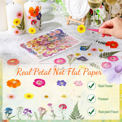 Maasechs 96 Pcs Natural Dried Pressed Flowers for Cake Topper Decorating Cupcake Toppers Cocktails Resin Jewelry Making DIY Art Crafts