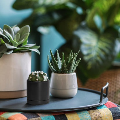 D'vine Dev Set of 2 Plants Pots, 3.5 Inch Ceramic Planter Pot for Plants with Drainage Hole and Saucer, Black, 94-V-A-2
