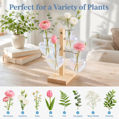 Nacome Plant Terrarium Propagation Stations: Clear Vase with Wooden Stand