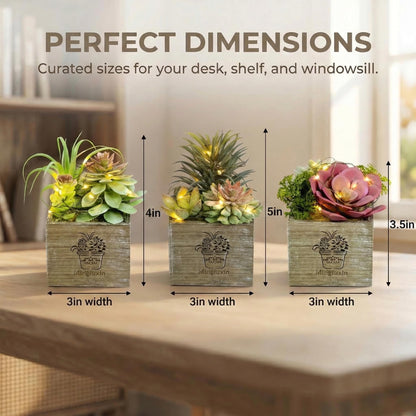 Mingfuxin Small Fake Plants, 3 Packs Mini Succulent Plants Artificial with Led Lights for Indoor Bathroom Bedroom Desk Office Decor