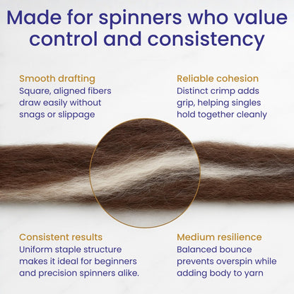 Revolution Fibers Yin Yang Natural Blend of Corriedale Wool Roving (8 Ounces) | Perfect for Felting, Hand Spinning & Tapestry |100% Natural Undyed Off-White & Brown Blend
