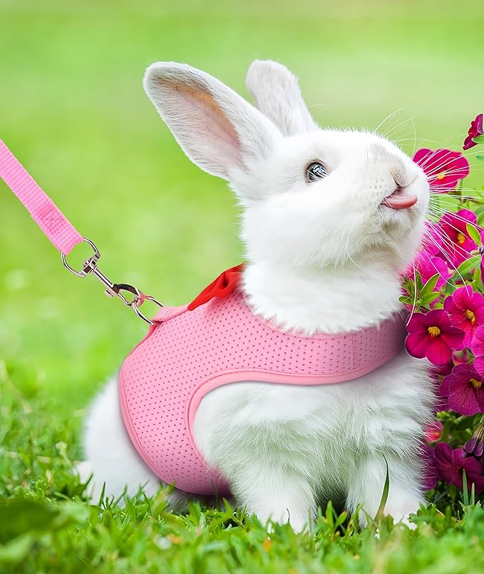 2 Pack Adjustable Bunny Rabbit Harness and Leash Set Breathable Mesh Vest Harness for Rabbits Kitten Ferret Puppy Small Pets Walking Supplies-Grey&Pink,M