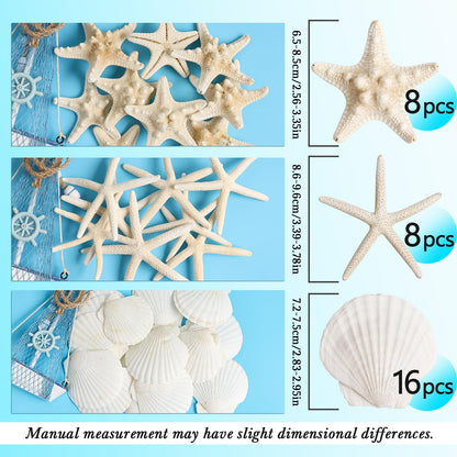 HAPYSHOOP 16 Pieces Starfish and Scallop Shells for Crafts 2.6"-3.8" Large Seashells Natural Sea Shells for Crafts Christmas Decor Beach Party Wedding Fishtank