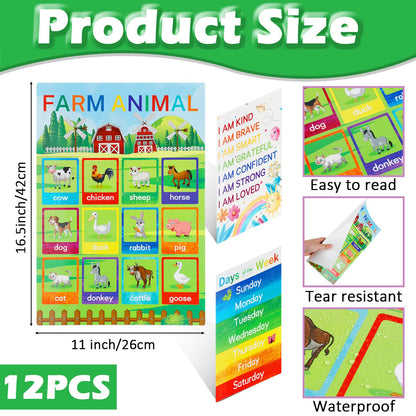 Educational Posters for Elementary Preschool Kindergarten Classroom Learning, Preschool Learning Posters for ABC Alphabet, Time, Number, Months,Colors, Weather, Animals, More, 16.5x11 Inch (12P Style B)