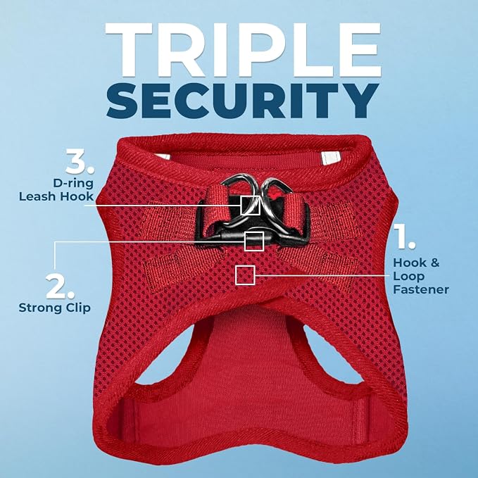 Best Pet Supplies Voyager Step-in Air All Weather Mesh Harness and Reflective Dog 5ft Leash Combo with Neoprene Handle, for Small, Medium and Large Breed Puppies - Red, Small
