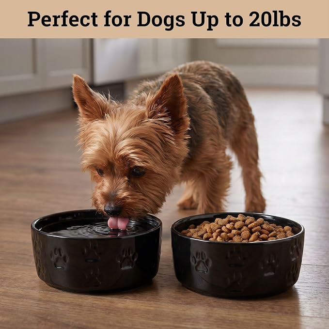 Ceramic Dog Bowl Set of 2 with Anti-Skid Base - 5" Wide x 2" Tall Ceramic Dog Bowls for Small Dogs - 2 Cup Capacity Food and Water Bowls for Dogs - Rubber Bottom Pet Bowl Set of 2 for Small Pets