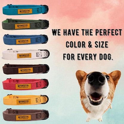 Pawsitive Hemp Dog Collar - Yellow Fall Dog Collar - Super Soft Hypoallergenic Lining. Great for Small, Medium and Large Dogs; Medium Yellow