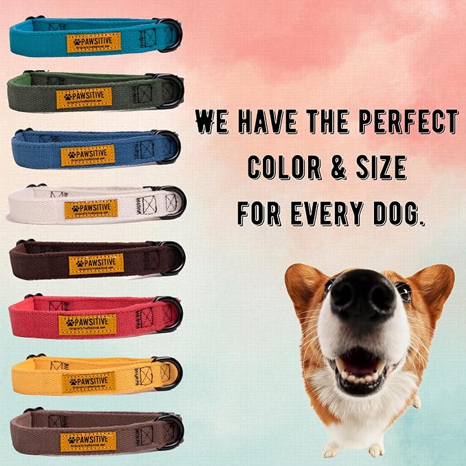Pawsitive Hemp Dog Collar - Super Soft Hypoallergenic Lining. Great for Small, Medium and Large Dogs; Large Natural