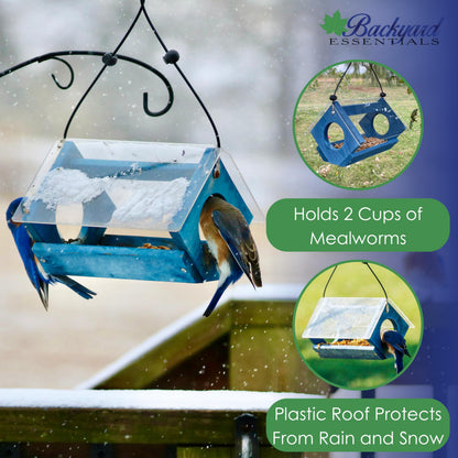 Backyard Essentials Petite Bluebird Feeder with Plexiglass Roof and Powder Coated Steel Mesh Basket Bird Feeder Tray