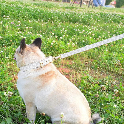 Leather Dog Collar and Leash Set, Check Pattern Dog Collar Leashes Metal Buckle Adjustable Durable for Small Medium Large Dogs (White, M(11.8-15IN))