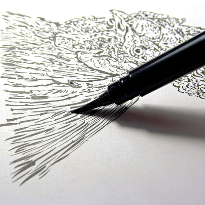 Pentel Arts Pocket Brush Pen with Refills, 1 Pen & 2 Refills
